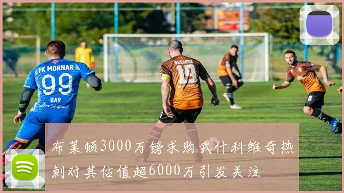 布莱顿3000万镑求购武什科维奇热刺对其估值超6000万引发关注