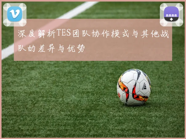 深度解析TES团队协作模式与其他战队的差异与优势